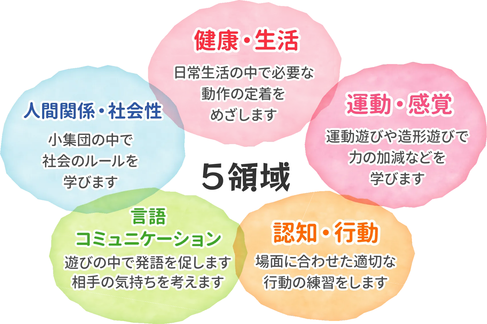 ５領域について